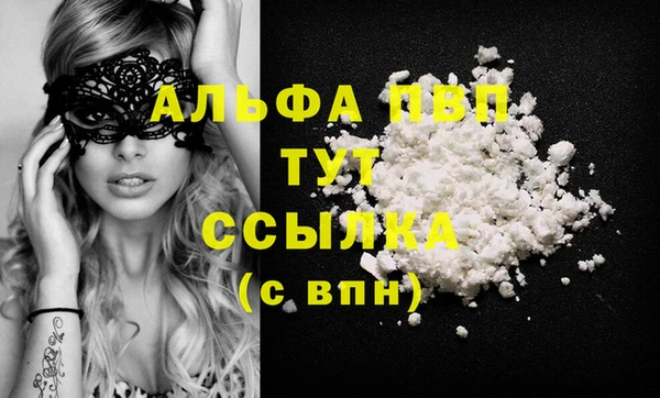 ECSTASY Богданович