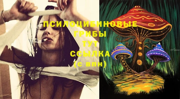 гашишное масло Богородск