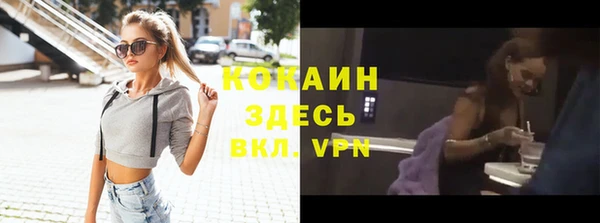 стафф Осинники