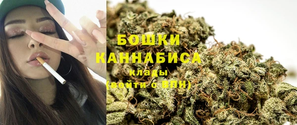 ECSTASY Богданович
